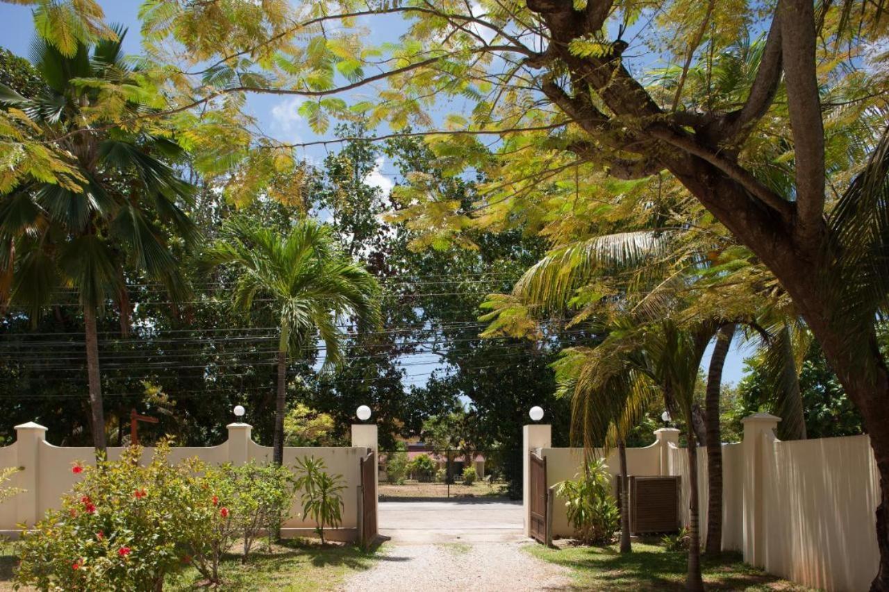 Villa Confort Grand Anse  Eksteriør billede