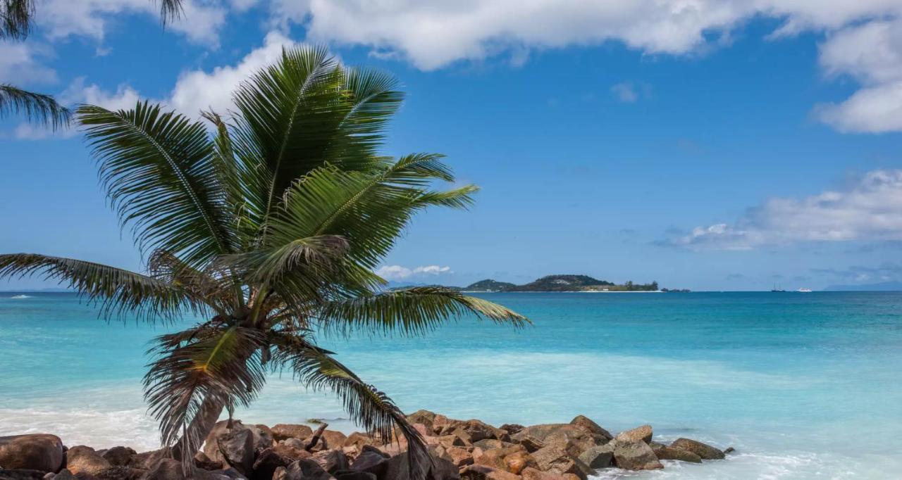 Villa Confort Grand Anse  Eksteriør billede